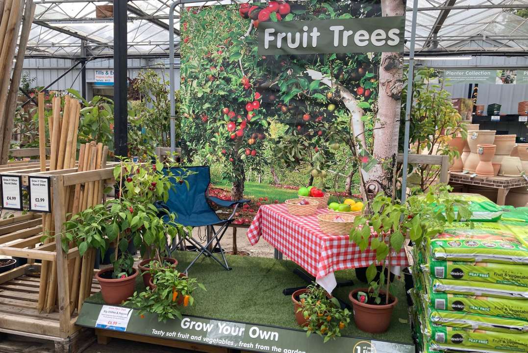 Fruit Trees | Thompson's Garden Centre