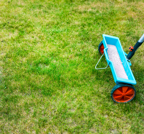 Lawn Feed - Thompson's Garden Centre