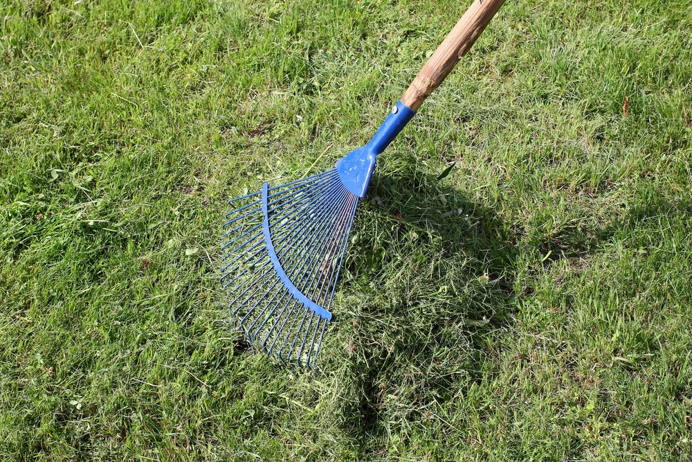 Rake the lawn - Thompson's