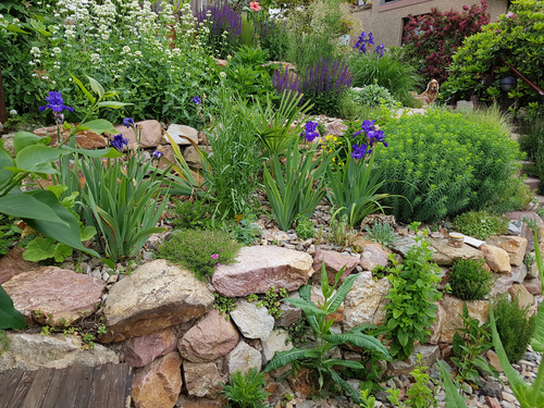 Rockery stones cheap