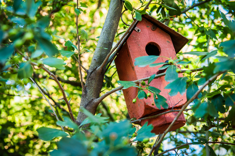 Nesting boxes - Thompson's