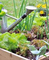 A Seasonal Guide to Grow Your Own