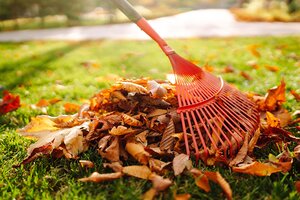 Autumn Gardening Tips