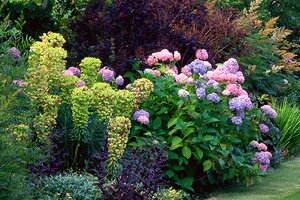 How to Add Height to Your Garden