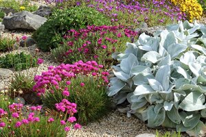 How to Create a Rockery Garden