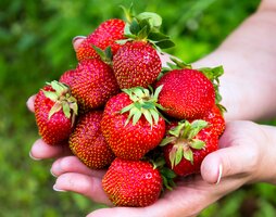 How to Grow Strawberries