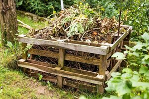 How to Make Your Own Compost