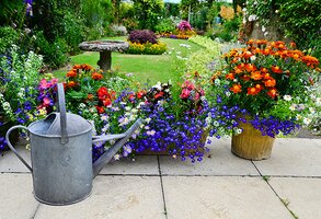 How to Plant Patio Pots