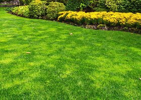 How to Prepare Your Lawn for Winter