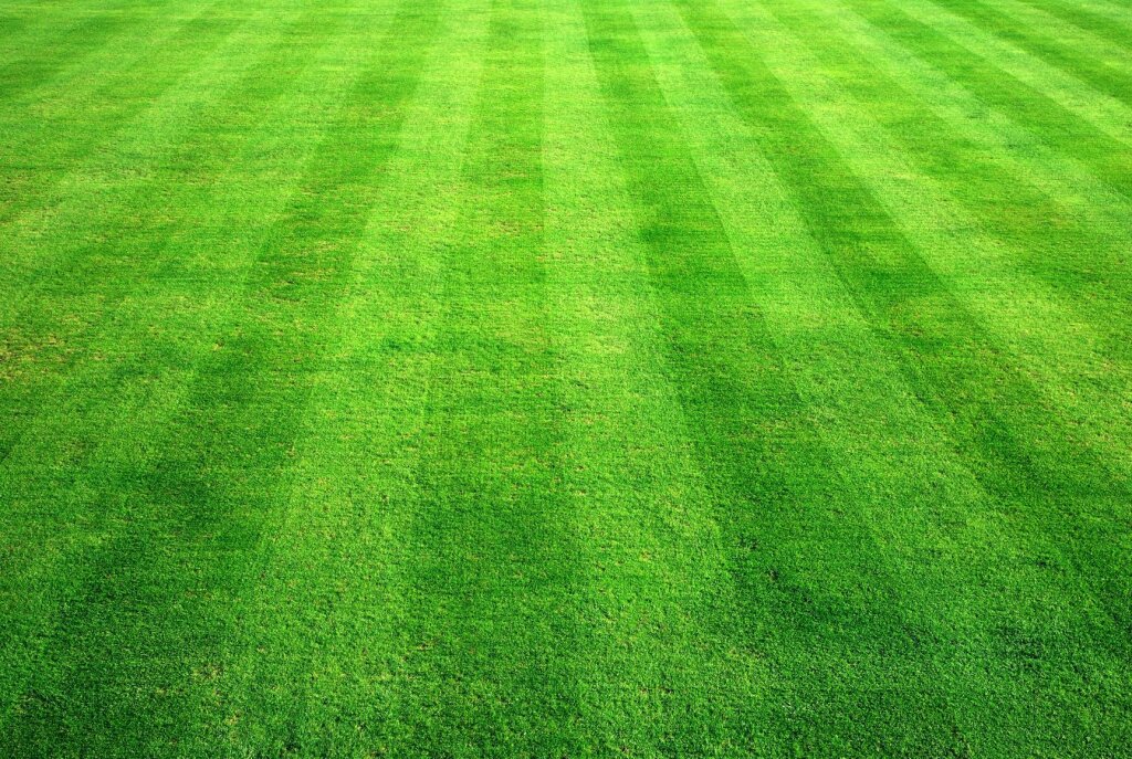 Laying a Lawn Laying a Lawn