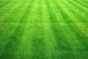 Laying a Lawn Laying a Lawn
