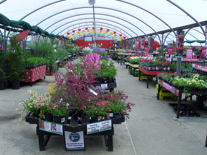 Petham Thompsons Plants & Garden Centres