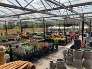 Plant Manager - Chislehurst Garden Centre