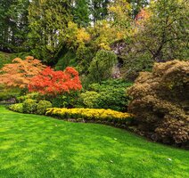 Plant Types Explained