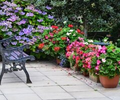 Summer Bedding Summer Bedding