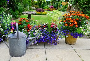 Top Tips for Beginners