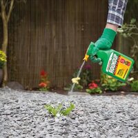 Weed Control Weed Control