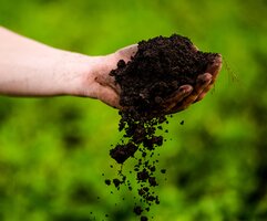 Why Mulch Your Garden in Autumn Why Mulch Your Garden in Autumn