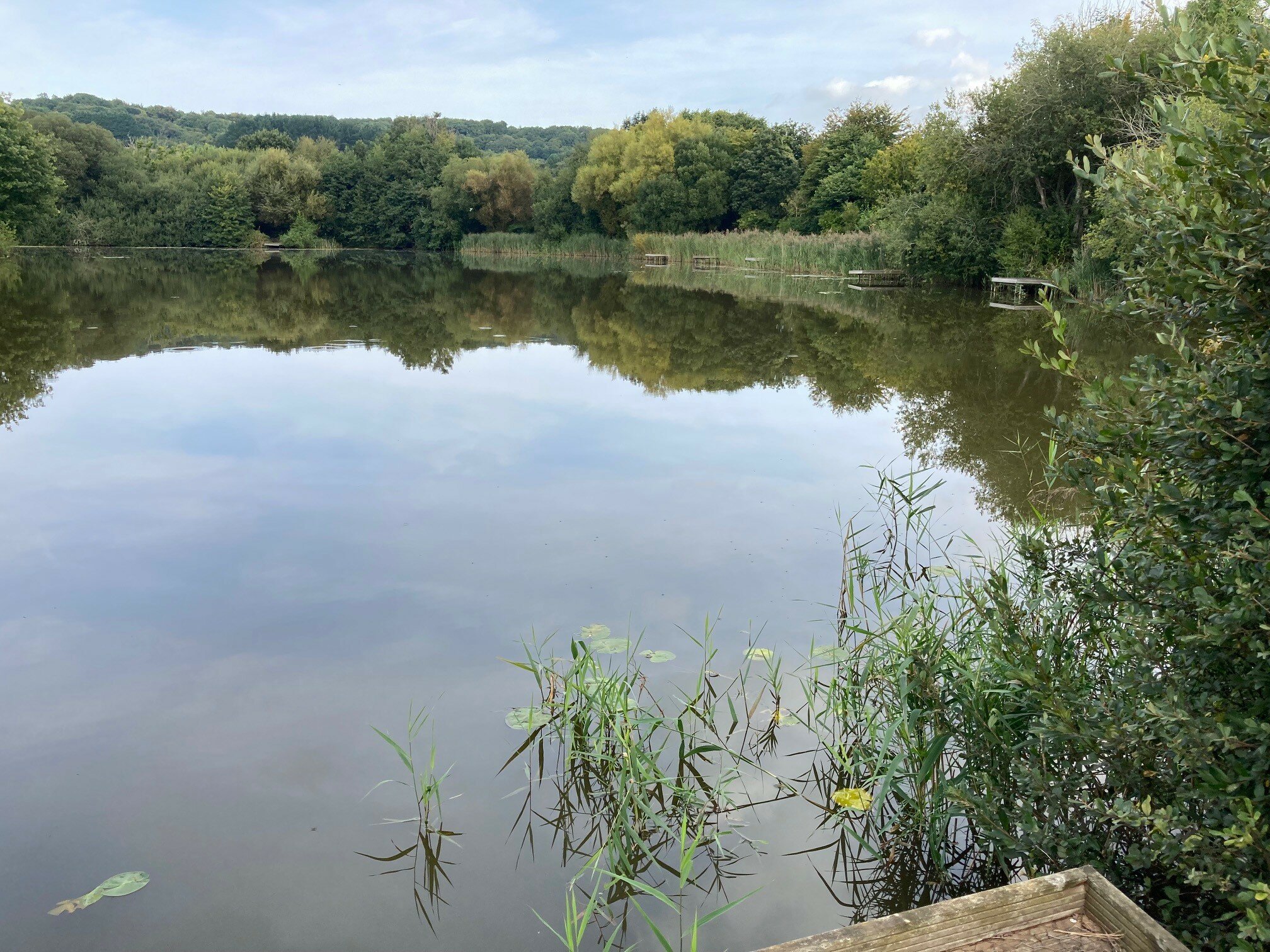 Wildlife Haven, a brief history Wildlife Haven, a brief history