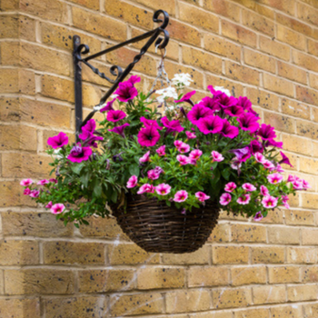 Hanging baskets galore