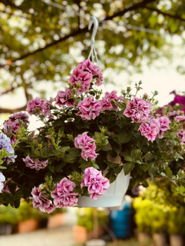 Mother's Day Gift Guide