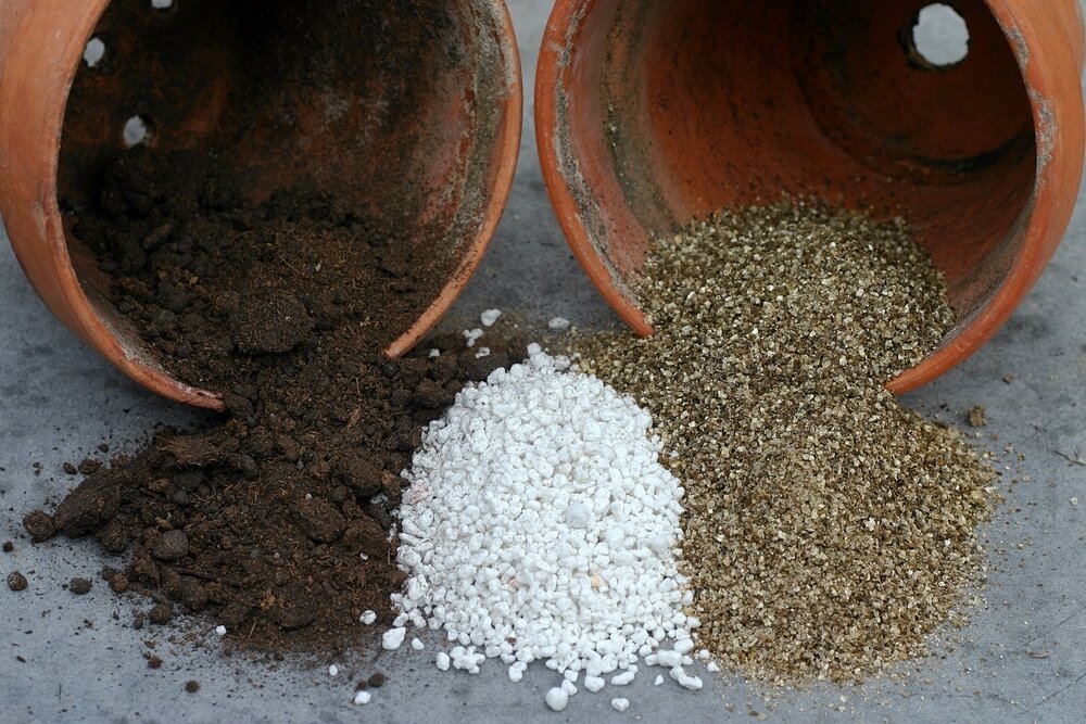 Vermiculite or perlite which to choose? Thompsons Plants & Garden