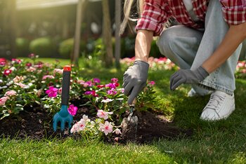 Why Gardening Is Good For You
