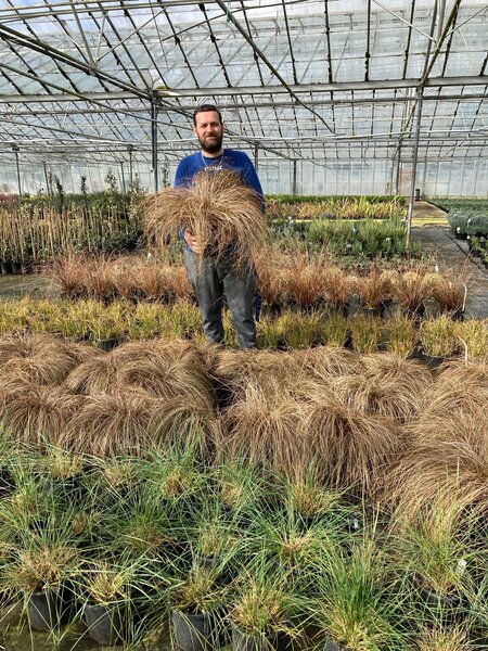 Greentiles Nursery