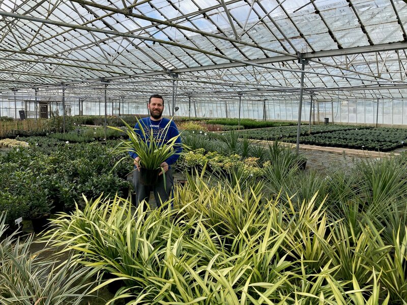 Greentiles Nursery