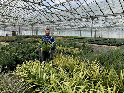 Greentiles Nursery