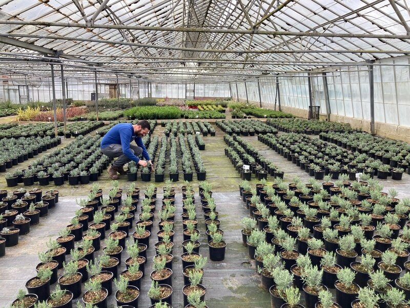 Greentiles Nursery