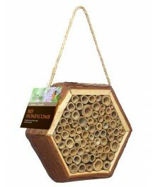 Bee Honeycomb Nest Box