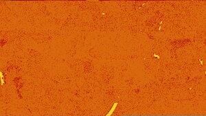 Berberis thun. Golden Ring