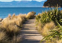 Coastal Plants