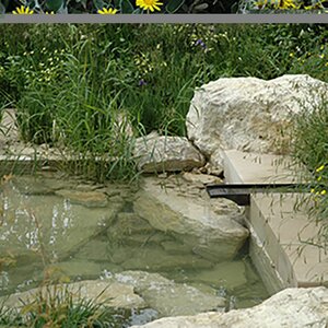 Cotswold Rockery