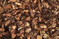 Bark & Mulch