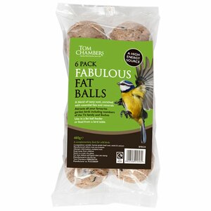 Fabulous Fat Balls 6 Pack
