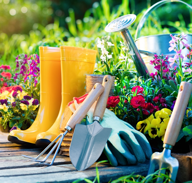 Garden Care Thompsons Plants & Garden Centres