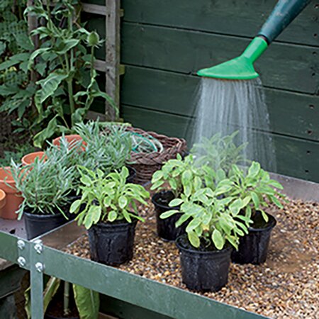 Horticultural Pink Potting Grit - image 2