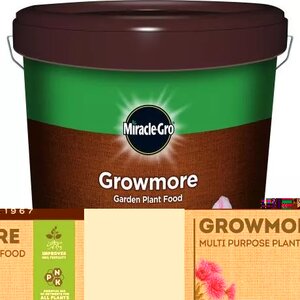 Levington Growmore 9kg