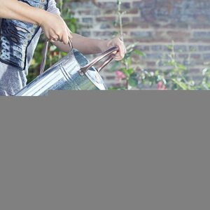 Miracle-Gro Houseplant Potting Mix 10L