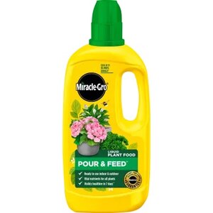 Miracle Gro Pour & Feed Ready to Use plant Food