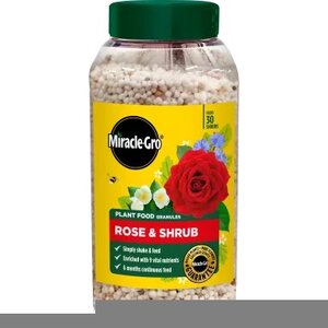 Miracle Gro Rose & Shrub Continuous Release Plant Food