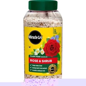 Miracle Gro Rose & Shrub Continuous Release Plant Food