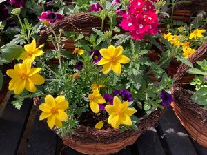 Mixed Summer Wall Basket