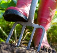 Multipurpose Compost