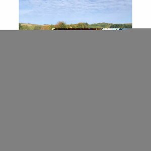 Norway Spruce 10lt Pot 3-4ft (100-120cm)