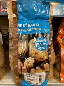 Pentland Javelin 1st Early