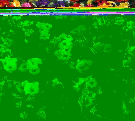 Primrose Mixed Colours 9cm - image 1