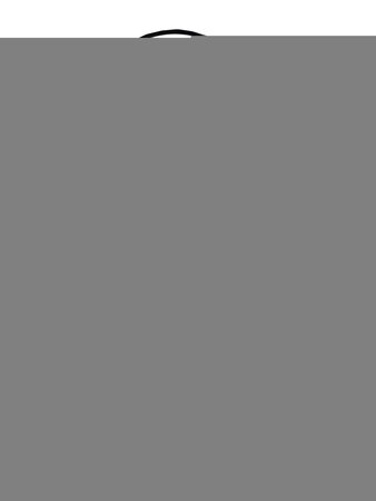 Seed Feeder 20cm - image 1